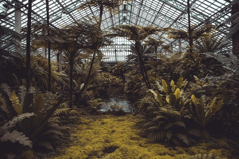 Glasshouse