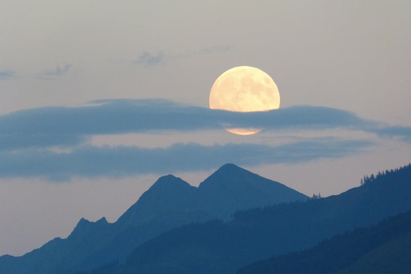 Full Moon Reception